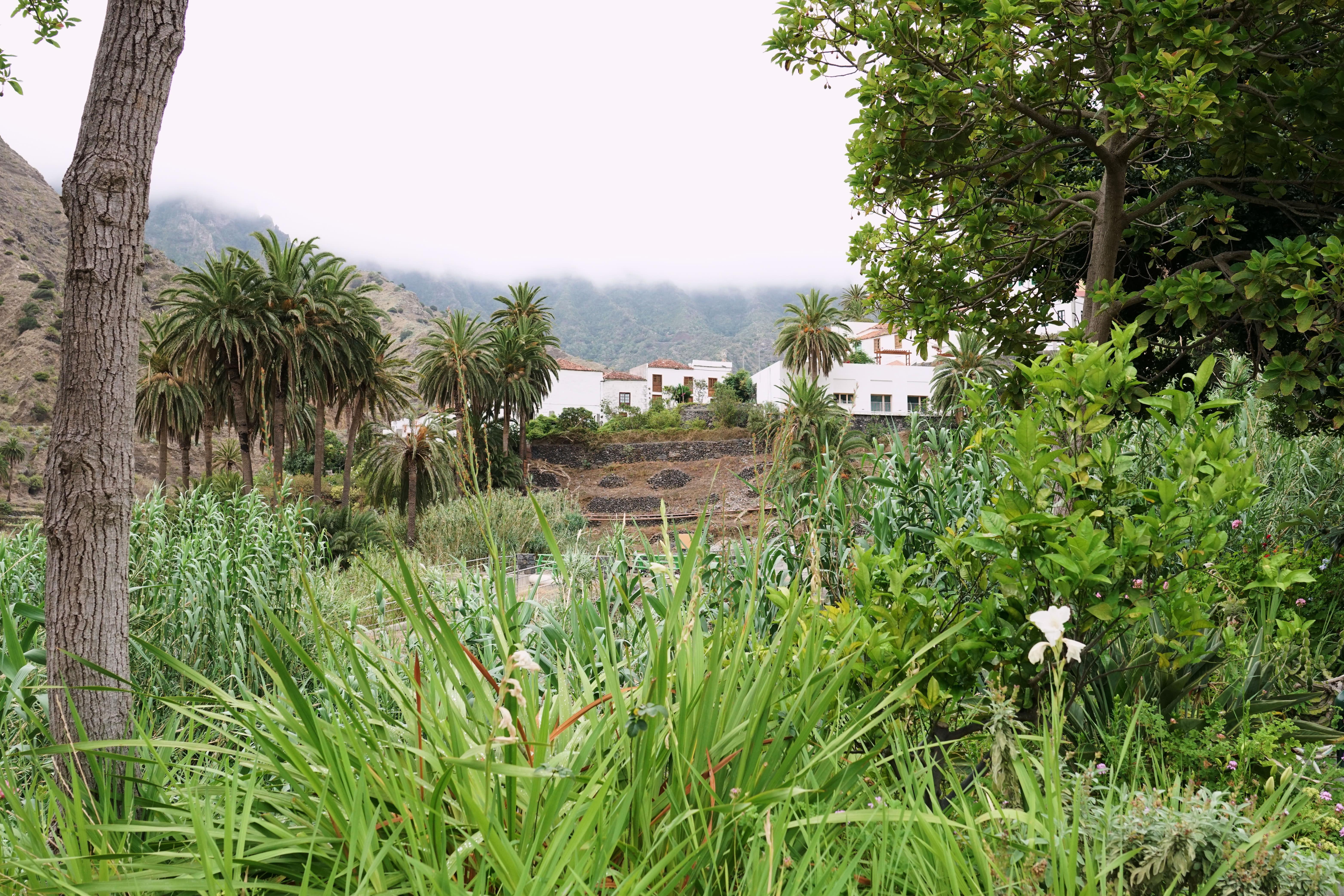 הרמיגואה Finca Pinero מראה חיצוני תמונה